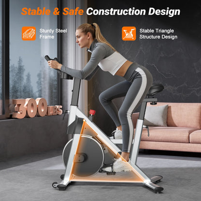 Pro Indoor Exercise Bike